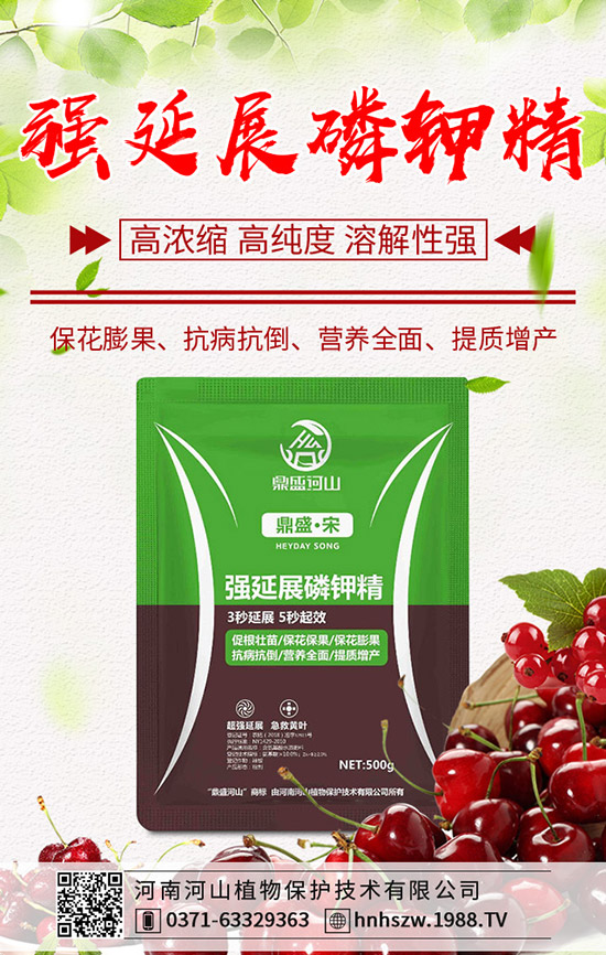     ⛷ʴͬӆ֌(do)rµ2020-4-3⛷ʈr