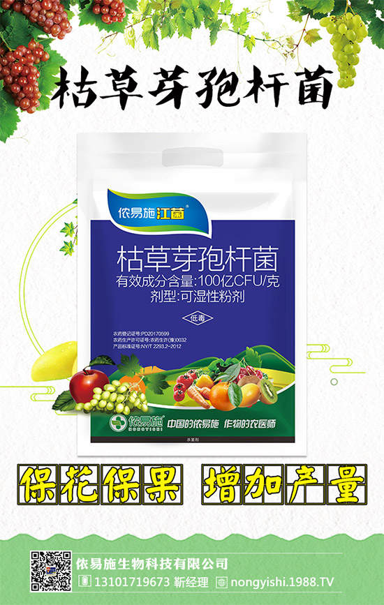 xzʩٺ1988.TV󌍬F(xin)vw