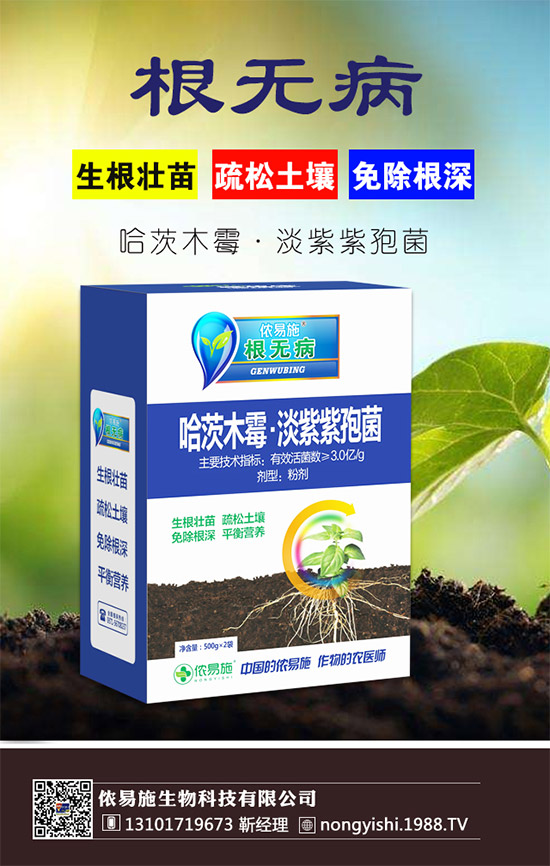 xzʩٺ1988.TV󌍬F(xin)vw