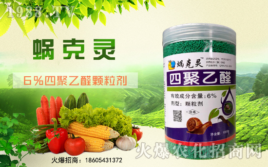 美隆農(nóng)業(yè)續(xù)約1988.TV,攜手共創(chuàng)新輝煌!