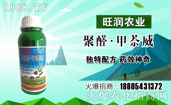 美隆農(nóng)業(yè)續(xù)約1988.TV,攜手共創(chuàng)新輝煌!