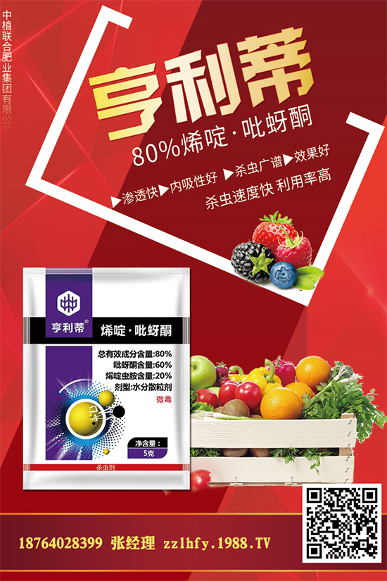 中植聯(lián)合肥業(yè)再度攜手1988.TV,攜手打造招商奇跡!