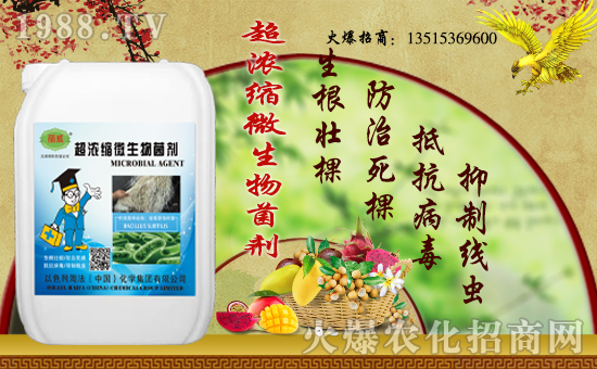 合作升級(jí)!合作共贏!以色列海法再簽1988.TV再創(chuàng)新輝煌!