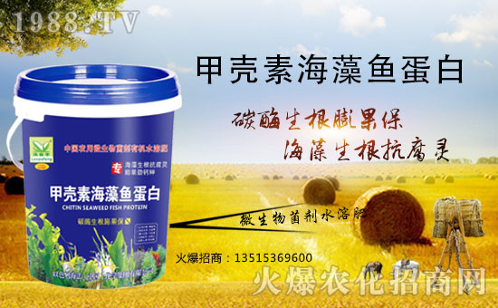 合作升級(jí)!合作共贏!以色列海法再簽1988.TV再創(chuàng)新輝煌!