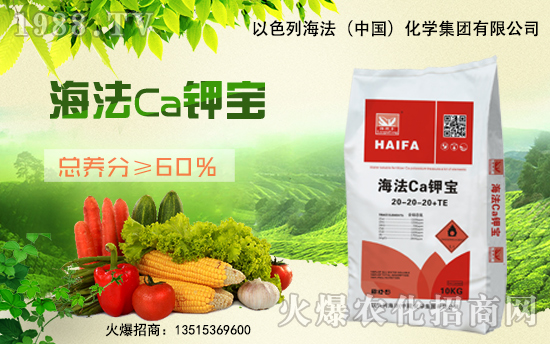 合作升級(jí)!合作共贏!以色列海法再簽1988.TV再創(chuàng)新輝煌!