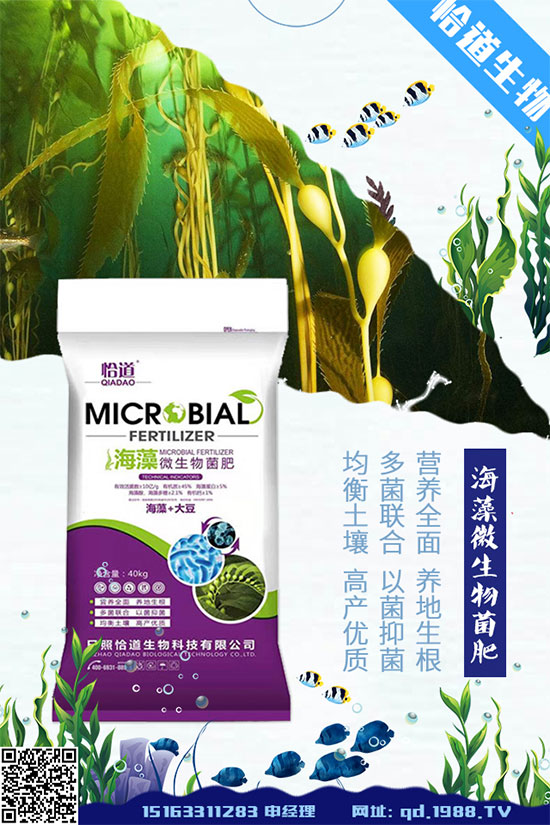 花生什么時(shí)間種植?花生高產(chǎn)種植方法!