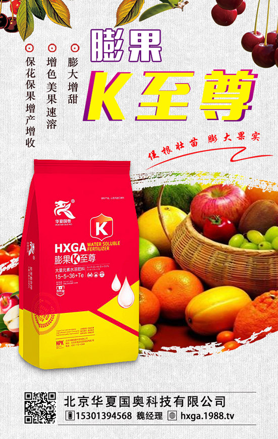 ޱ辰ηNֲޱ辰ķNֲע(xing)