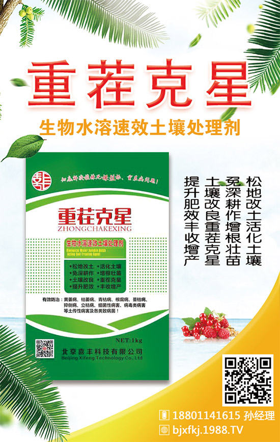 x^m(x)r(nng)W(wng)ӭϲSƼv