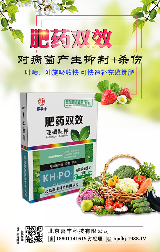 x^m(x)r(nng)W(wng)ӭϲSƼv