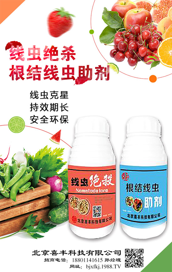 x^m(x)r(nng)W(wng)ӭϲSƼv