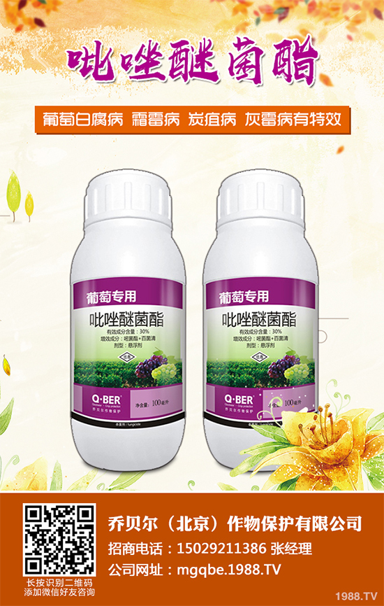 大白菜殺菌劑價格