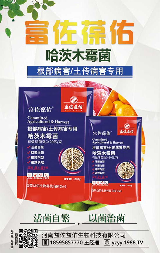 ^ʲôIB(yng)rֵ^ʲô̎