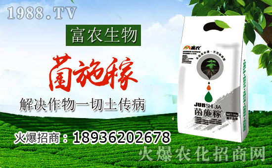 r(nng)A˻r(nng)W(wng)yֹM(jn)Tx