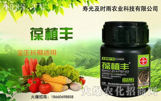 合作再升級,及時雨農(nóng)業(yè)攜手1988.TV共贏未來!