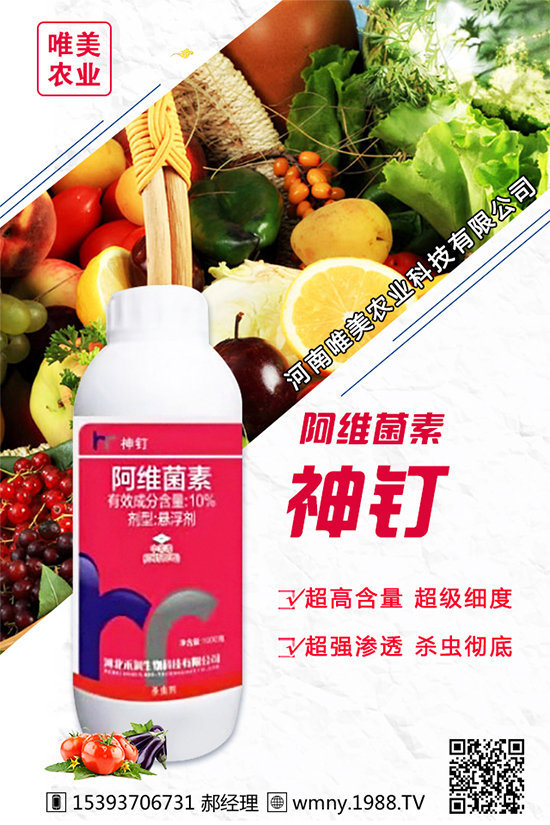 洋蔥的栽培品種有哪些?種植洋蔥對環(huán)境條件的要求!