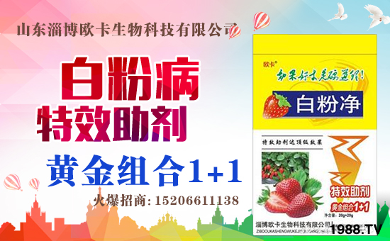 合作關(guān)系再升華!山東淄博歐卡生物續(xù)約1988.TV,共謀合作新發(fā)展!