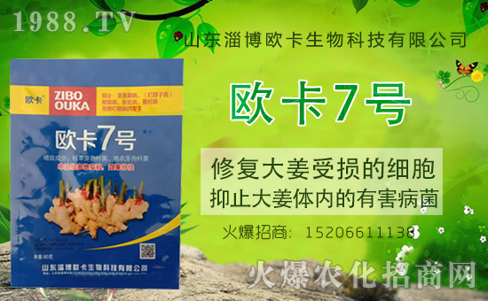 合作關(guān)系再升華!山東淄博歐卡生物續(xù)約1988.TV,共謀合作新發(fā)展!