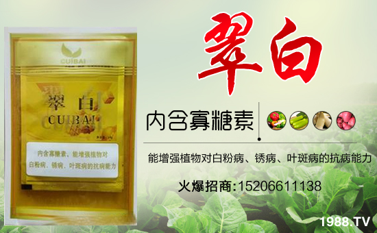 合作關(guān)系再升華!山東淄博歐卡生物續(xù)約1988.TV,共謀合作新發(fā)展!