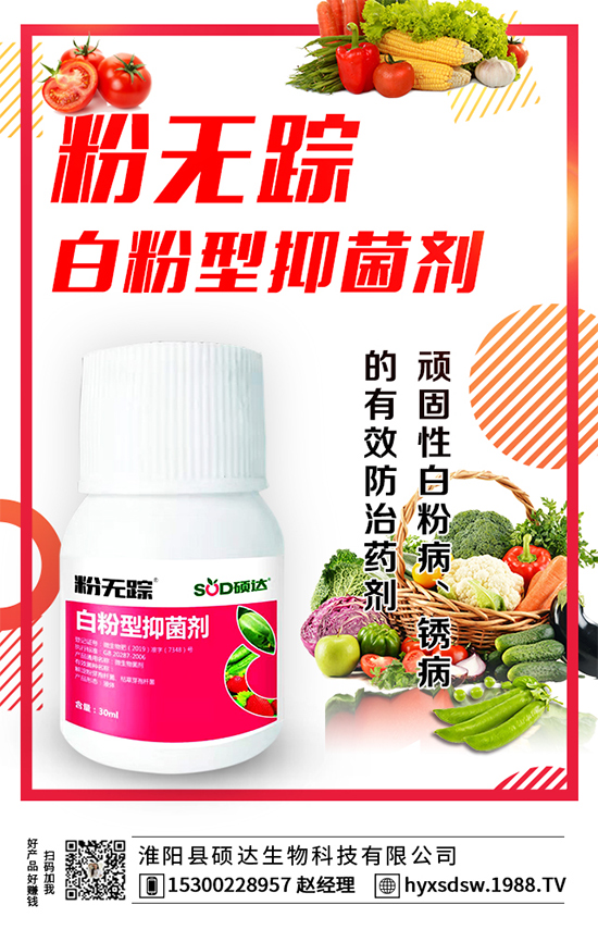 ôNֲNֲg(sh)Ҫc(din)