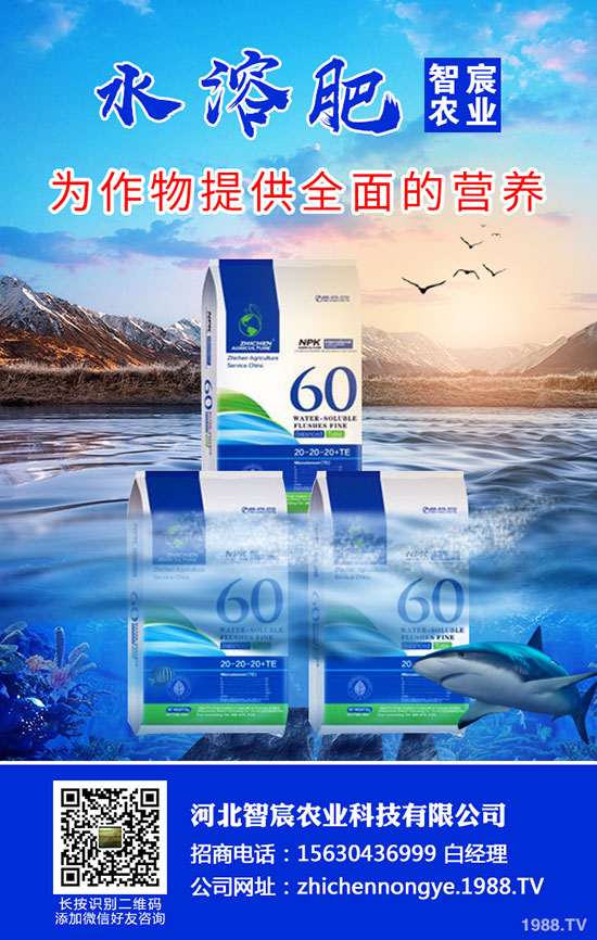 2020؃r(ji)Ҫϝq߄(sh)