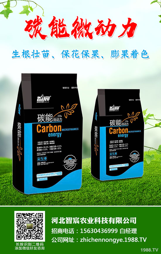 5月國內(nèi)磷肥市場何去何從?最新一銨二銨價格行情走勢預測!