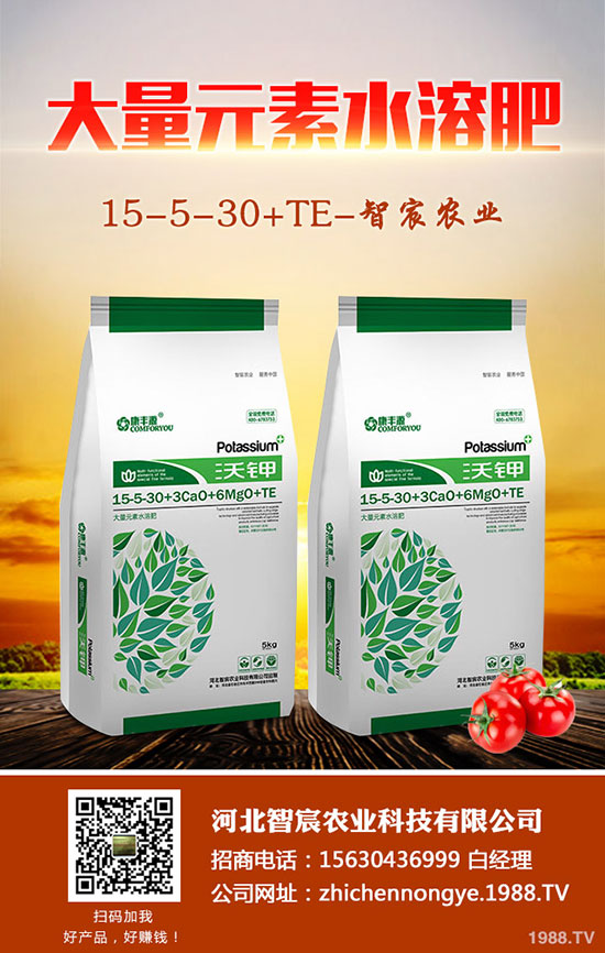 龍須鐵怎么養(yǎng)，龍須鐵的養(yǎng)殖方法和注意事項