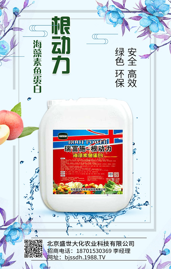 蘆筍有什么營(yíng)養(yǎng)價(jià)值?吃蘆筍有哪些好處?