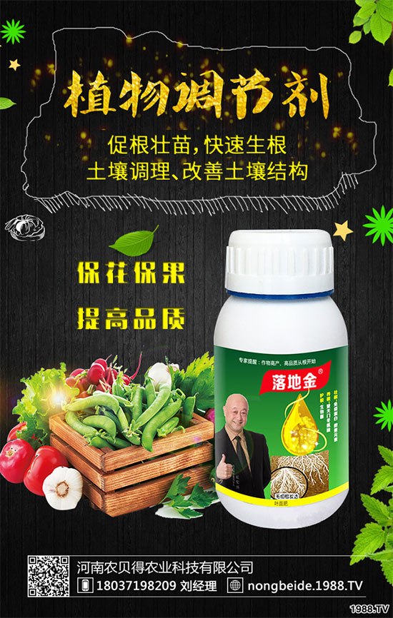 白掌葉片發(fā)黑是什么原因?白掌養(yǎng)殖注意要點(diǎn)!