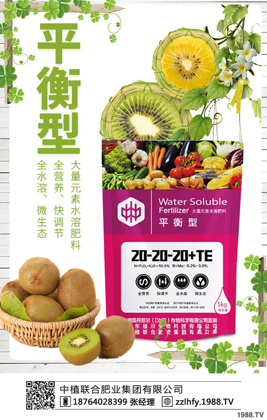 茄子需要施什么肥料?該如何施肥?茄子高產(chǎn)施肥技術(shù)