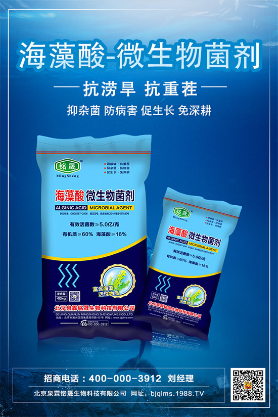 杏樹種植技術(shù)要點(diǎn),杏樹的栽種注意事項(xiàng)!