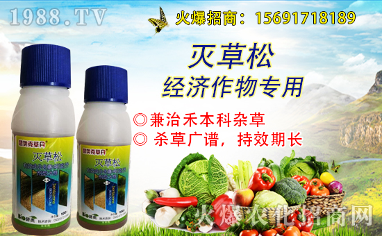 新原農林首次簽約1988.TV,攜手共創(chuàng)美好明天!