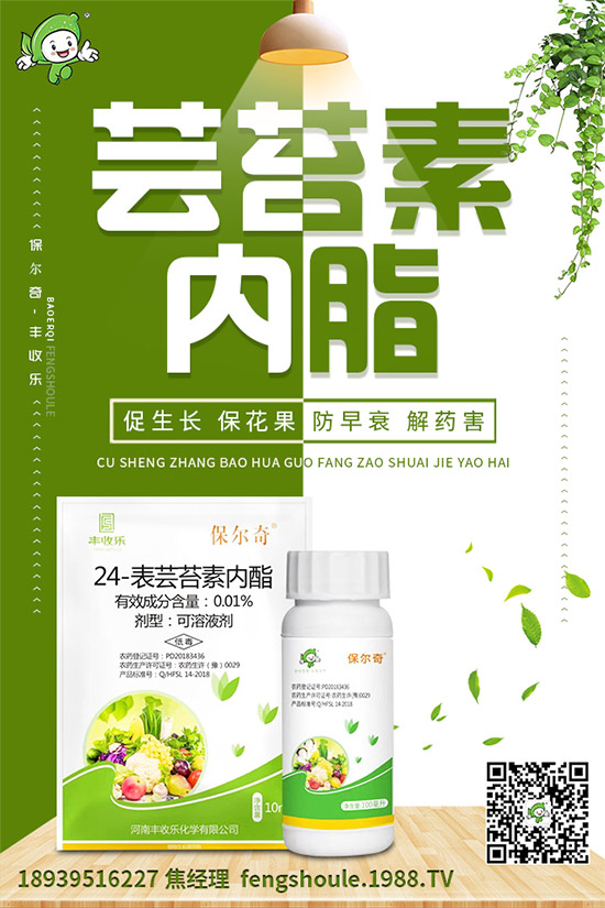 草珊瑚該怎么種植?如何種植能高產(chǎn)?草珊瑚高產(chǎn)種植技術(shù)