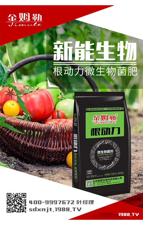 \l(f)չɽ|ٺ1988.TV_(chung)xͣ