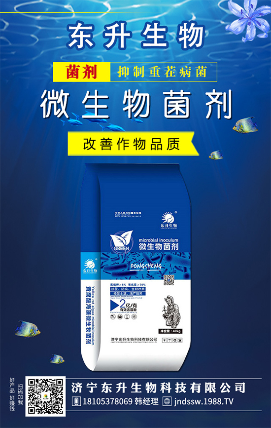 白掌的花語是什么?水培白掌的的養(yǎng)護(hù)方法!