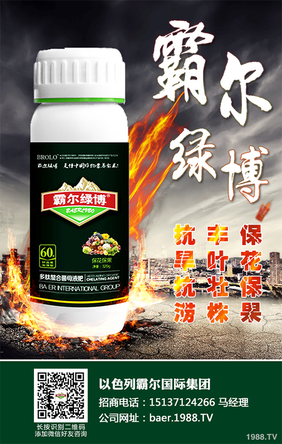 ʲôr(sh)򲥷N2020粥ă(yu)ȱc(din)