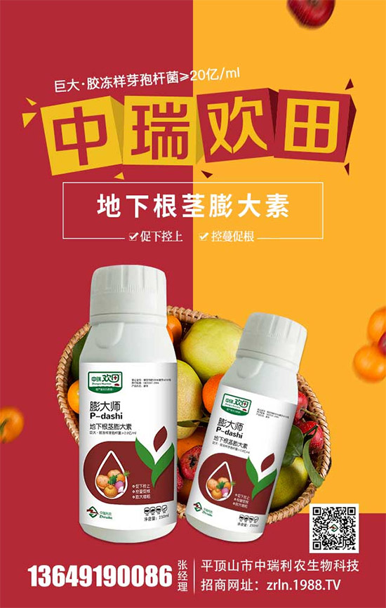 (j)r(nng)ٺr(nng)̾W(wng)W(wng)j(lu)·