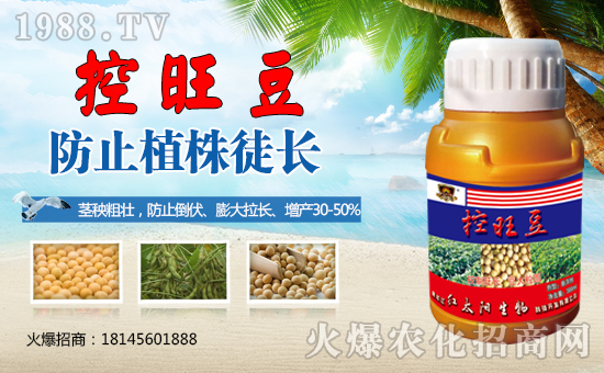 合作再升級(jí),紅太陽(yáng)生物再簽1988.TV,攜手共贏2020!