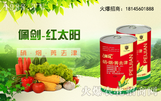 合作再升級(jí),紅太陽(yáng)生物再簽1988.TV,攜手共贏2020!