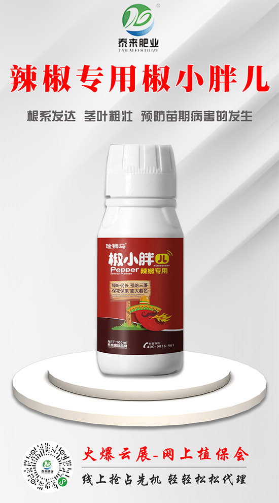 泰來(lái)國(guó)際肥業(yè)再簽火爆農(nóng)化網(wǎng),力求實(shí)現(xiàn)騰飛夢(mèng)!