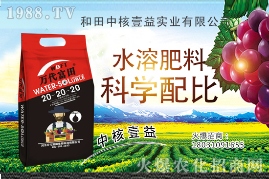 r(nng)W(wng)ϲӭѣкҼ揊݁u