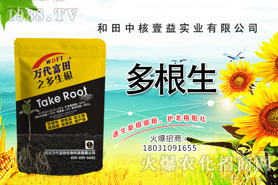 r(nng)W(wng)ϲӭкҼ揊݁u