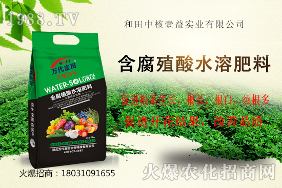 r(nng)W(wng)ϲӭкҼ揊݁u