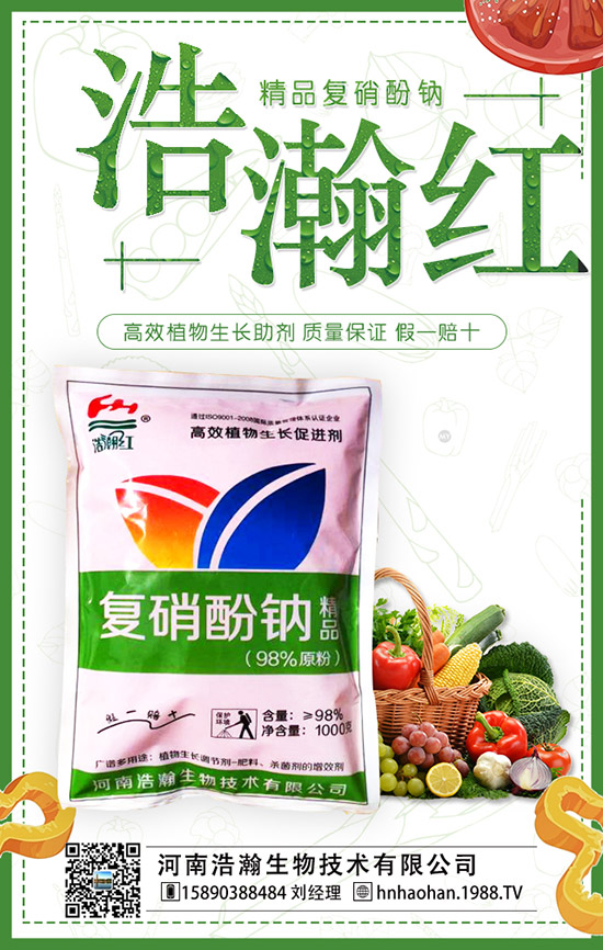 番茄什么時間種植,番茄種植技術(shù)及管理要點!