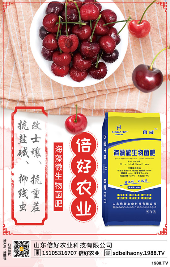 棉花的生長(zhǎng)周期多少天?棉花生長(zhǎng)各個(gè)時(shí)期的表現(xiàn)有哪些?