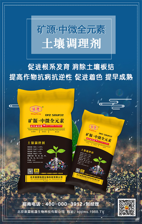 ֥ʲôr(sh)gNֲ֥༼g(sh)Ҫc(din)