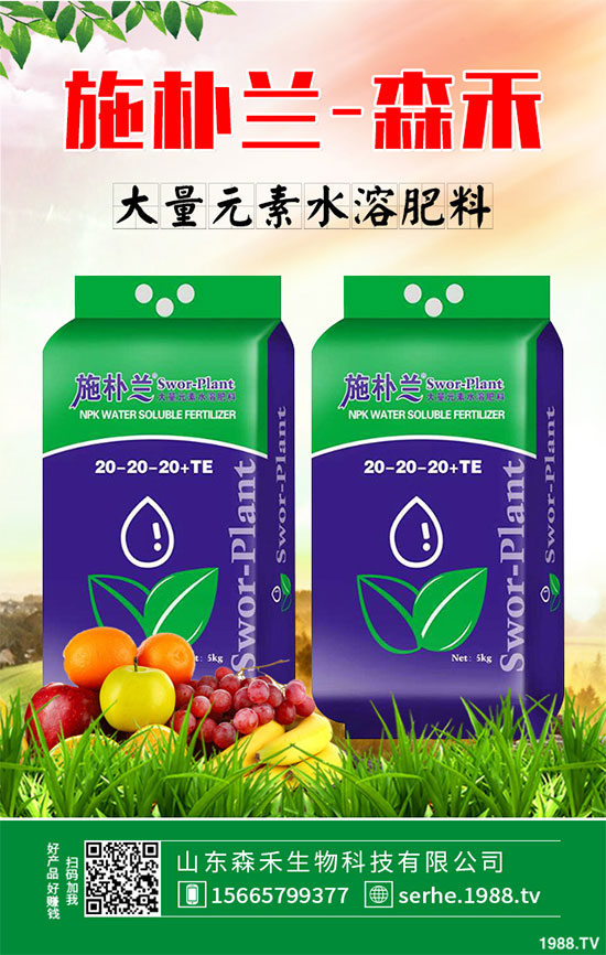 Rr񲻔ܷ^m(x)ͦ2020RNֲǰ