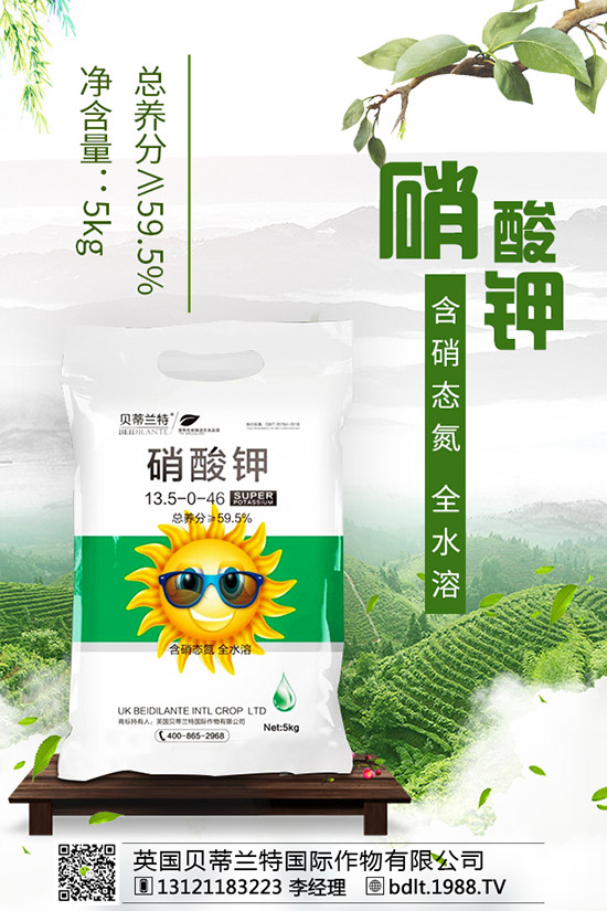 番茄空心果是怎么回事?如何做可以避免番茄空心?