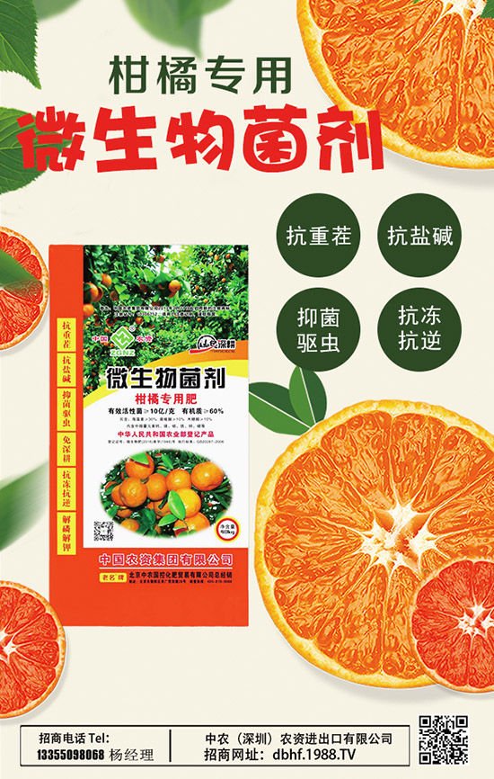 2020山藥價格多少錢一斤?種植前景如何?山藥種植高產(chǎn)管理技術(shù)!