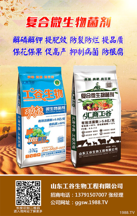 茼蒿什么時(shí)候種植比較好?該如何種植?茼蒿的種植時(shí)間及種植技術(shù)