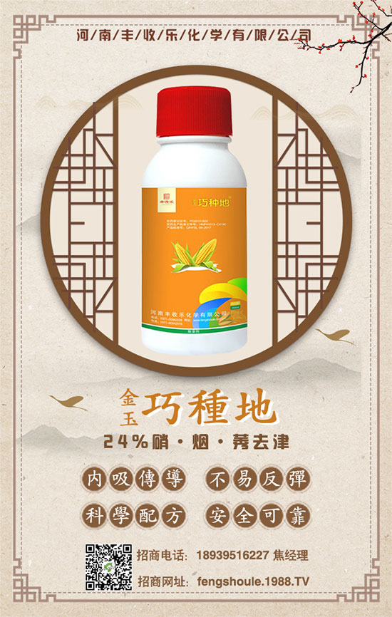 合作共謀發(fā)展,河南豐收樂再簽1988.TV開創(chuàng)新輝煌!